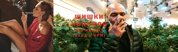 PSILOCYBIN Киренск